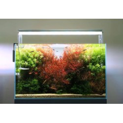 Twinstar CE-Line 450 LightControl Series 3.7 (extension 45cm) - Plafonnier à LED avec supports en plexiglas pour aquariums d'eau