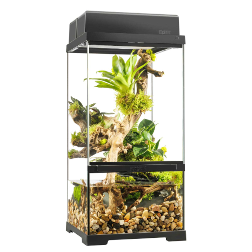 copy of Glass Terrarium Nano, terrario in vetro...