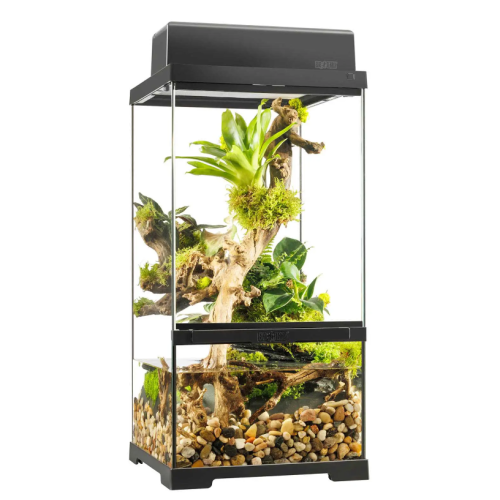 Pro Paludarium X-Small X-Tall - EXO Earth