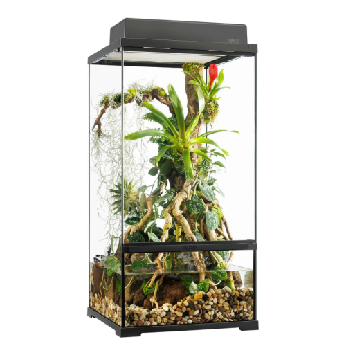 Pro Paludarium Petit X-Tall - EXO TERRE