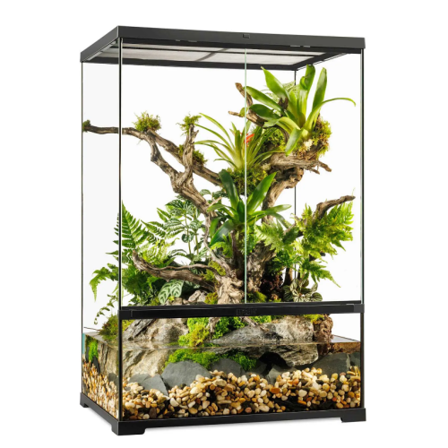 copy of Glass Terrarium Nano, terrario in vetro...