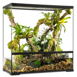 Pro Paludarium Large X-Tall - EXO Earth