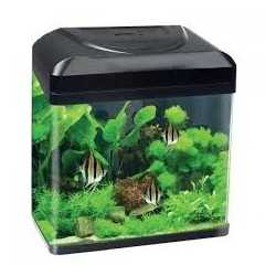 Acquario Rio 125 bianco Juwel con supporto 2