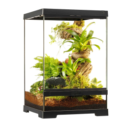 Exo Terra Pro Terrarium X-Small Tall 30x30x45 cm - Terrario Professionale Verticale per Rettili, Anfibi e Habitat Bioattivi
