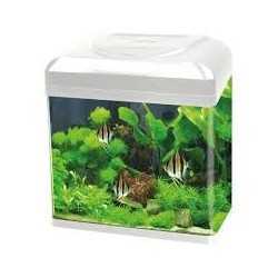 Acquario Rio 125 bianco Juwel con supporto