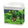 Acquario Rio 125 bianco Juwel con supporto