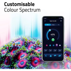 FLUVAL REEF 4.0 STRIP LED plafoniera per acquari marini - Askoll