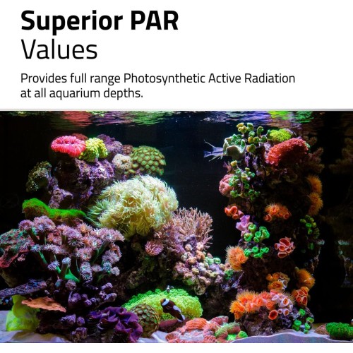 Fluval Reef 4.0 Strip LED Plafonnier LED pour...