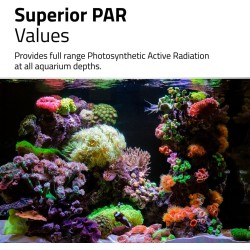 FLUVAL REEF 4.0 STRIP LED plafoniera per acquari marini - Askoll