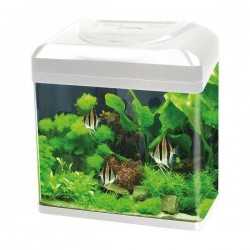 Acquario Rio 125 bianco Juwel con supporto