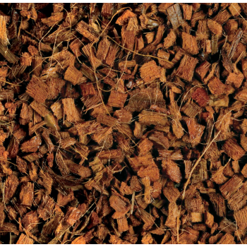 Coque coco, substrat pour terrarium tropical - Exo Terra 2