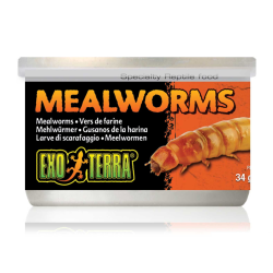 Mealworms, canned food for insectivorous reptiles and turtles - EXO land