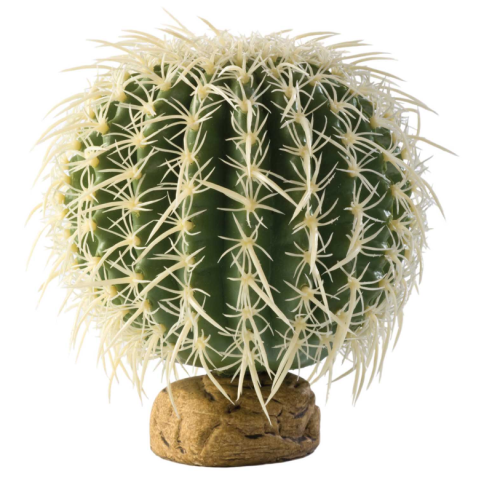 Barrel Cactus Large, Desert Floor Plant - EXO...