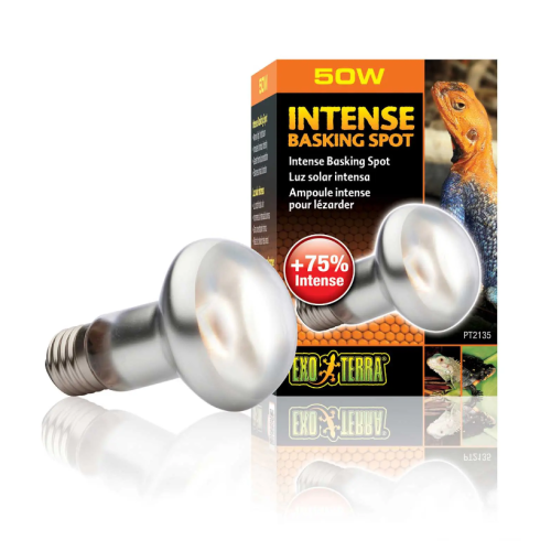 Spot de brando intense, lampe de chauffage pour...