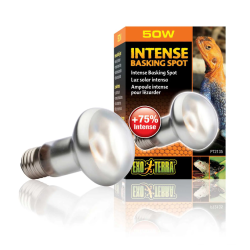 Spot de brando intense, lampe de chauffage pour terrarium - Terre exo