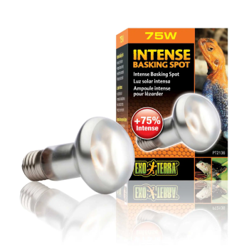 copy of Repti Glo 2.0 Compact, lampada fluorescente... 2