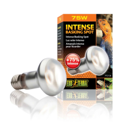 copy of Repti Glo 2.0 Compact, lampada fluorescente compatta a bulbo per terrari - Exo Terra