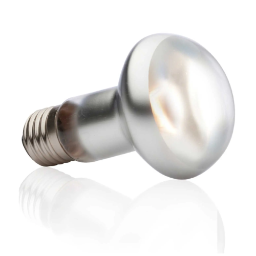 copy of Repti Glo 2.0 Compact, lampada...