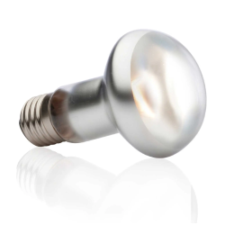 Spot de brando intense, lampe de chauffage pour terrarium - Terre exo