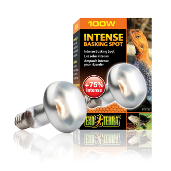 copy of Repti Glo 2.0 Compact, lampada fluorescente... 2