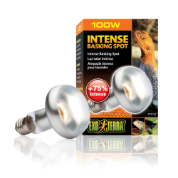 copy of Repti Glo 2.0 Compact, lampada fluorescente compatta a bulbo per terrari - Exo Terra