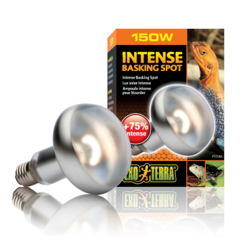 Intense Basking Spot, lampada riscaldante per terrari -... 2
