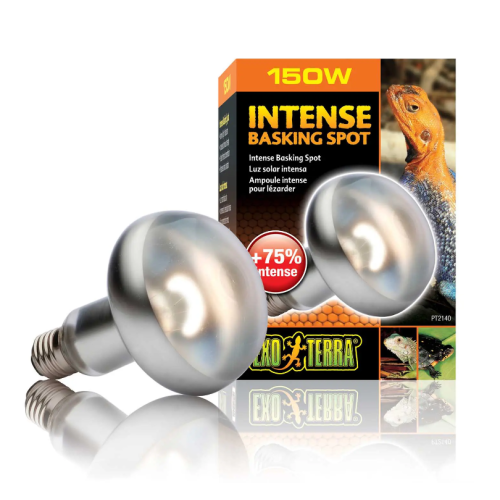Intense Basking Spot, lampada riscaldante per...