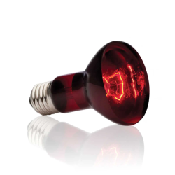 Infrared Basking Spot, infrared heating lamp for terrarium - EXO Earth