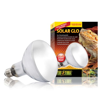 copy of Repti Glo 2.0 Compact, lampada fluorescente... 2