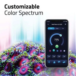 Fluval Reef 4.0 Nano LED plafond LED pour petits aquariums marins - AskolL