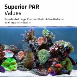 FLUVAL REEF 4.0 NANO LED plafoniera per piccoli acquari marini - Askoll