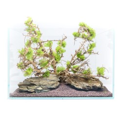 45 cm glass extra clear silicone transparent Aqpet Aqua