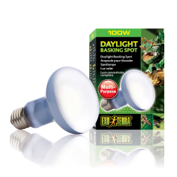 copy of Repti Glo 2.0 Compact, lampada fluorescente compatta a bulbo per terrari - Exo Terra