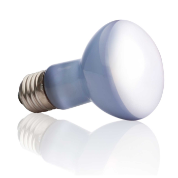 Sun Glo Neodymium, lampada diurna a luce concentrata ad... 2