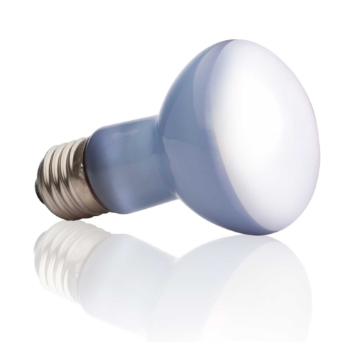 Sun Glo Néodyme, lumière du jour avec une...