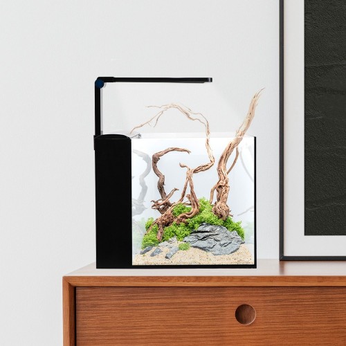 Aqpet Kubic 30 Rear Kit Vasca 30x30x30cm in...