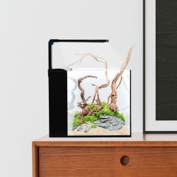 AQPET KUBIC 30 baignoire arrière 30x30x30cm en verre extrême avec filtre arrière et lumière LED intégrée