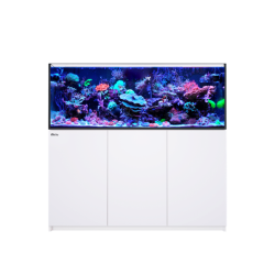 Red Sea Reefer G2 + XL 525 (150x55x57.5H cm) - Aquarium marin à base de somme, support et système de recharge