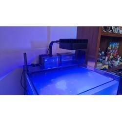 Max Nano Cube G2, senza supporto - Red sea