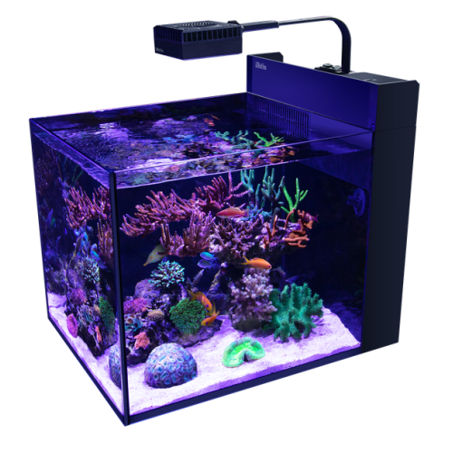 Max Nano G2 Peninsula, without support - Red sea