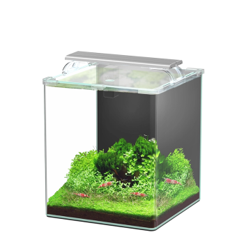 Kubus Curve 30L Aquarium Essential Set avec filtre et...