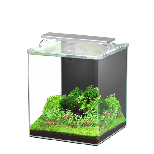 Kubus Curve 30L Essential Aquarium set with...