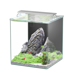 Kubus Curve 44L Essential Aquarium set with filter and light (34x34x42h cm) - Aquatlantis