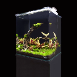 KUBUS CURVE 65L ESSENTIAL Aquarium set with filter and light (38x38x49h cm) - Aquatlantis