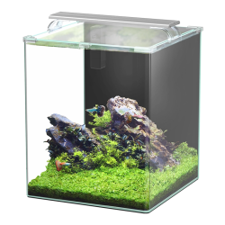 KUBUS CURVE 65L ESSENTIAL Aquarium set with filter and light (38x38x49h cm) - Aquatlantis