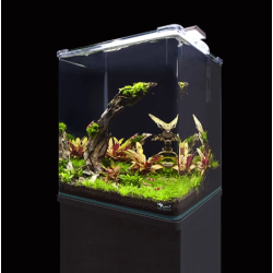 Mobile per Kubus Curve 30 L (supporto per acquario) - Aquatlantis