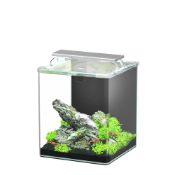 Kubus Curve 20L Essential with Mobile Aquarium set with filter, light and support - Aquatlantis