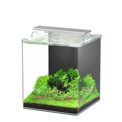 Kubus Curve 30L Essential with Mobile Aquarium set with filter, light and support - Aquatlantis