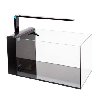 copy of Kubic extra clear glass silicone transparent Aqpet 2