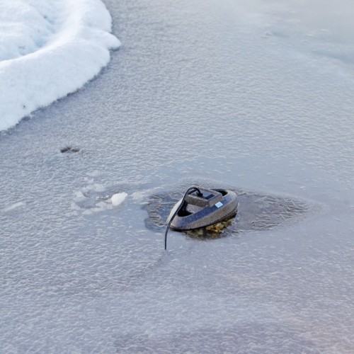 Oase IceFree Thermo 330 - dispositivo...